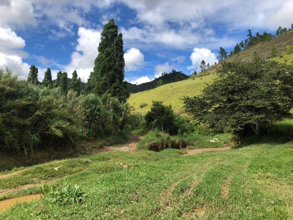 solares y terrenos - Fincas en Constanza disponibles  para la venta