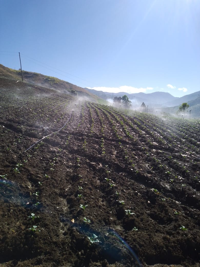 solares y terrenos - Terreno 40,100 mts Tireo, Constanza 
 0