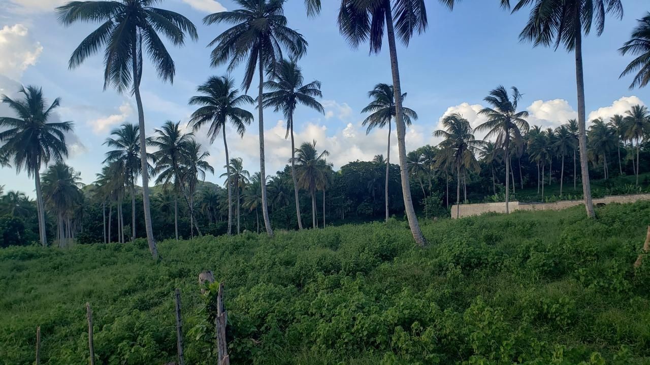 solares y terrenos - Solar en venta en Sanchez - Samana 1