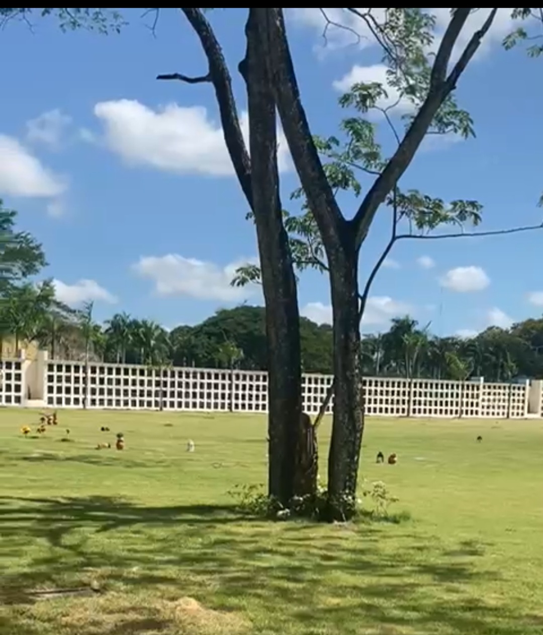 otros inmuebles - JARDIN MEMORIAL 