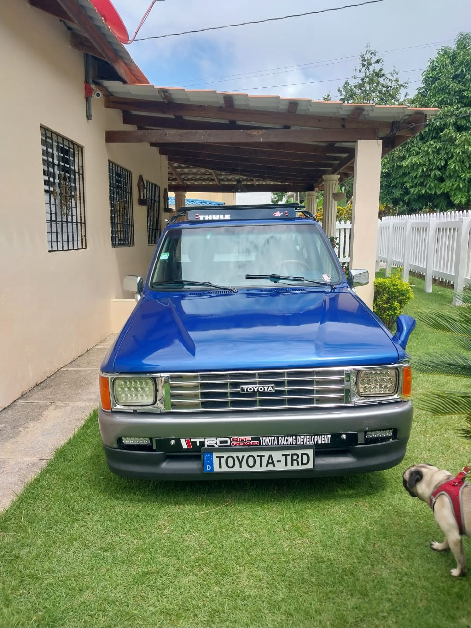 jeepetas y camionetas - Toyota 84 8