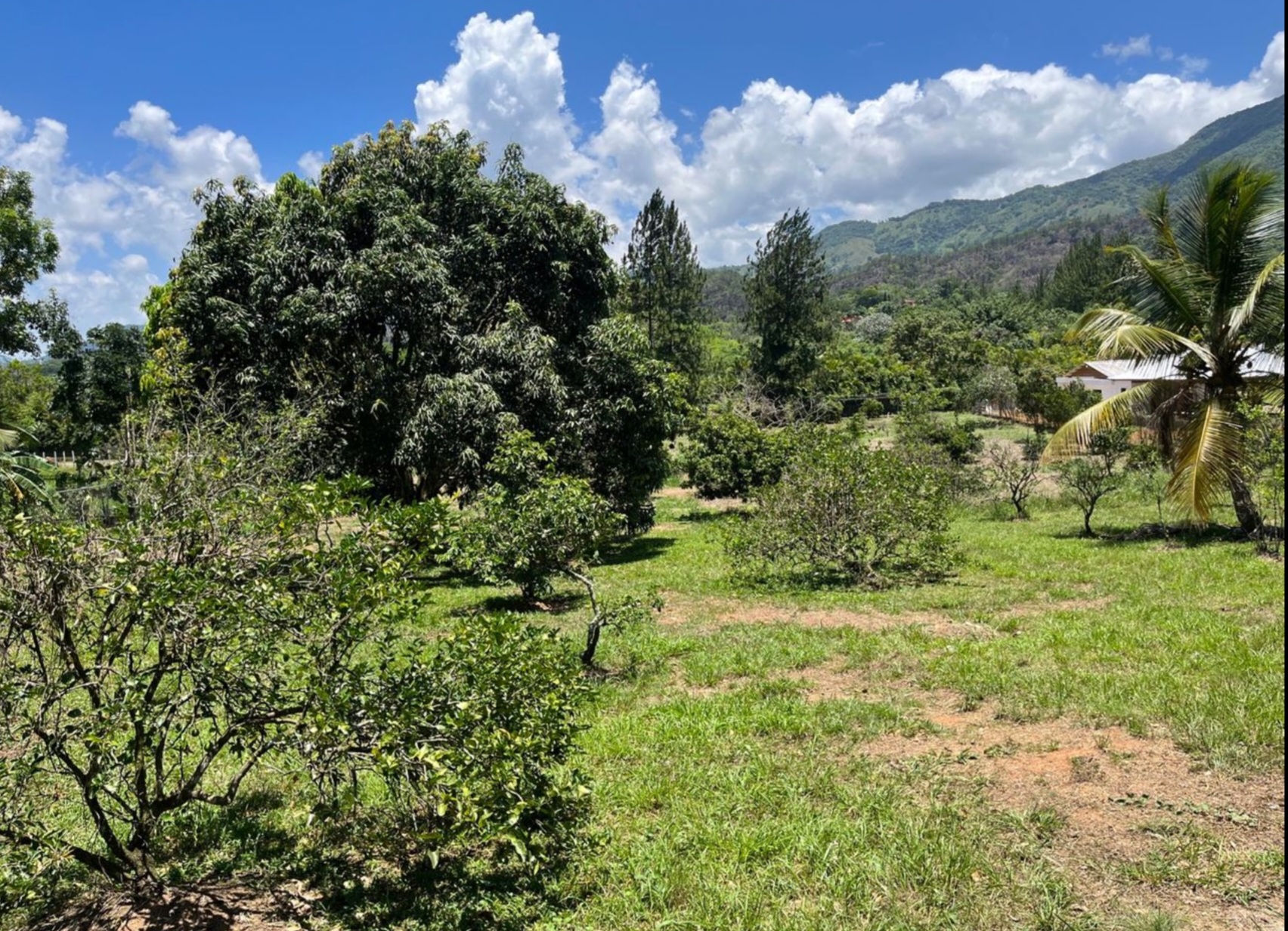 solares y terrenos - solar en venta en Rancho Los Mogotes  2