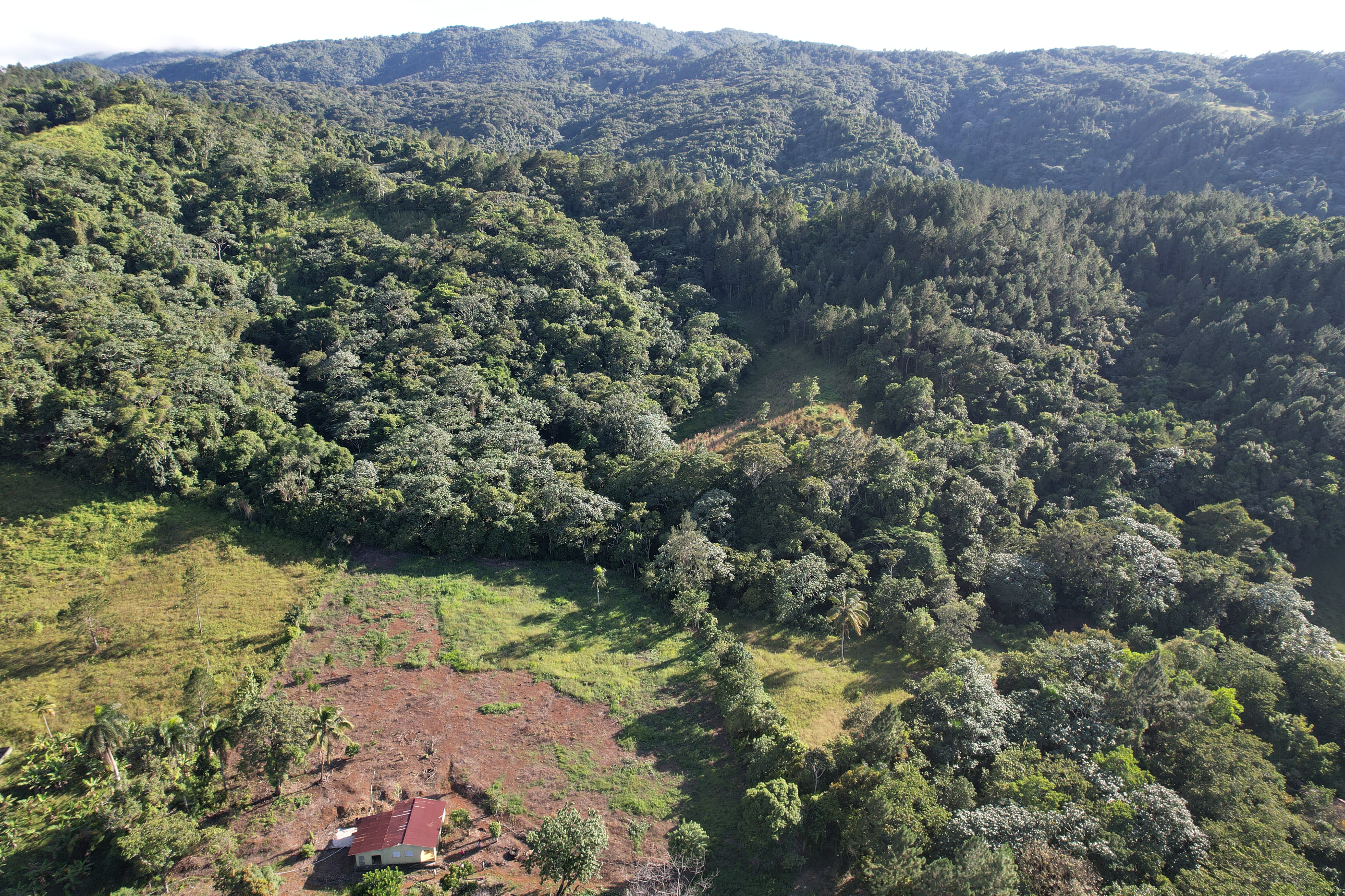 solares y terrenos - Venta de Terreno de 140 tareas en Guarey, La Vega 1