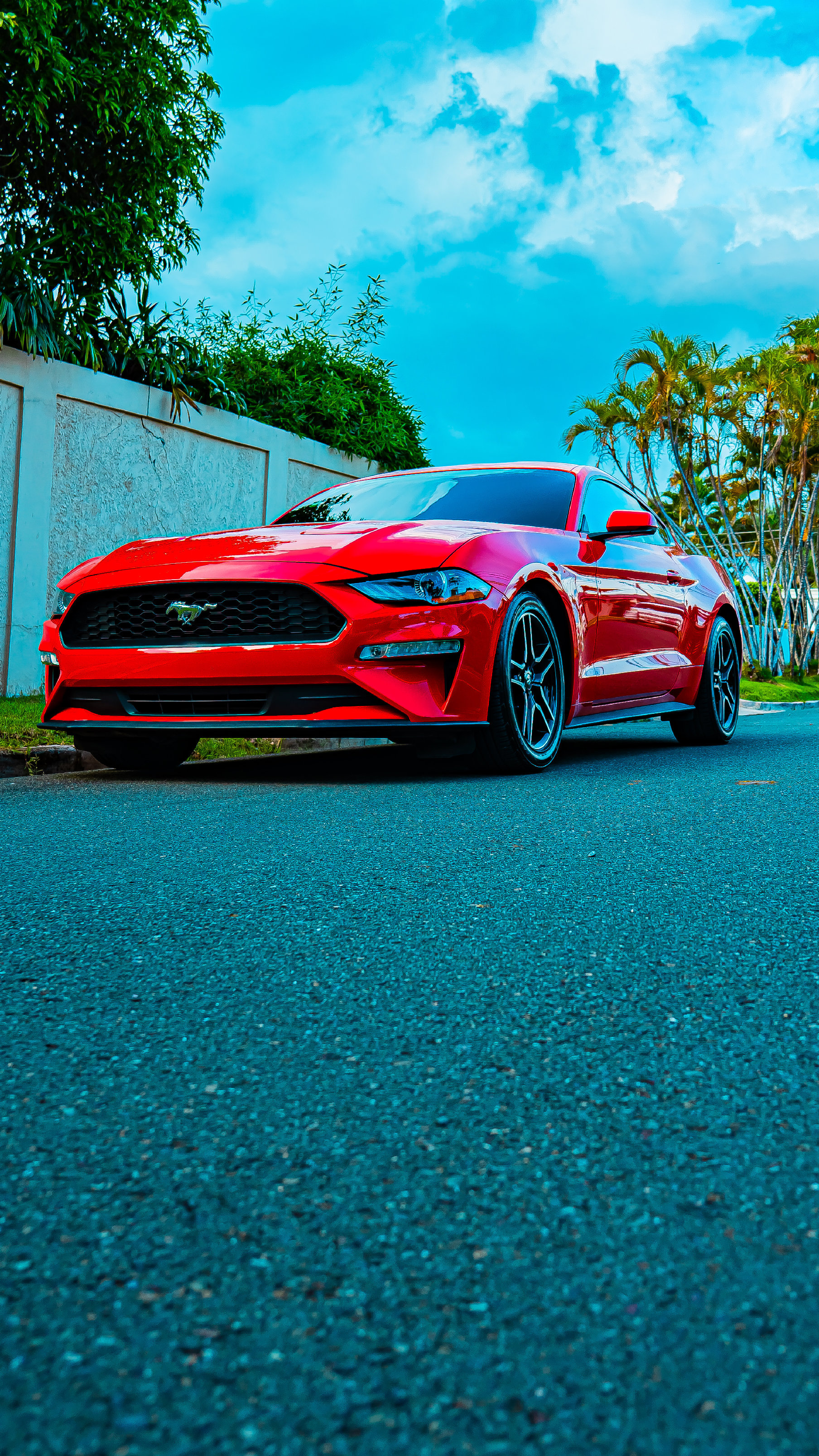 carros - Mustang ecoboots excelente condiciones