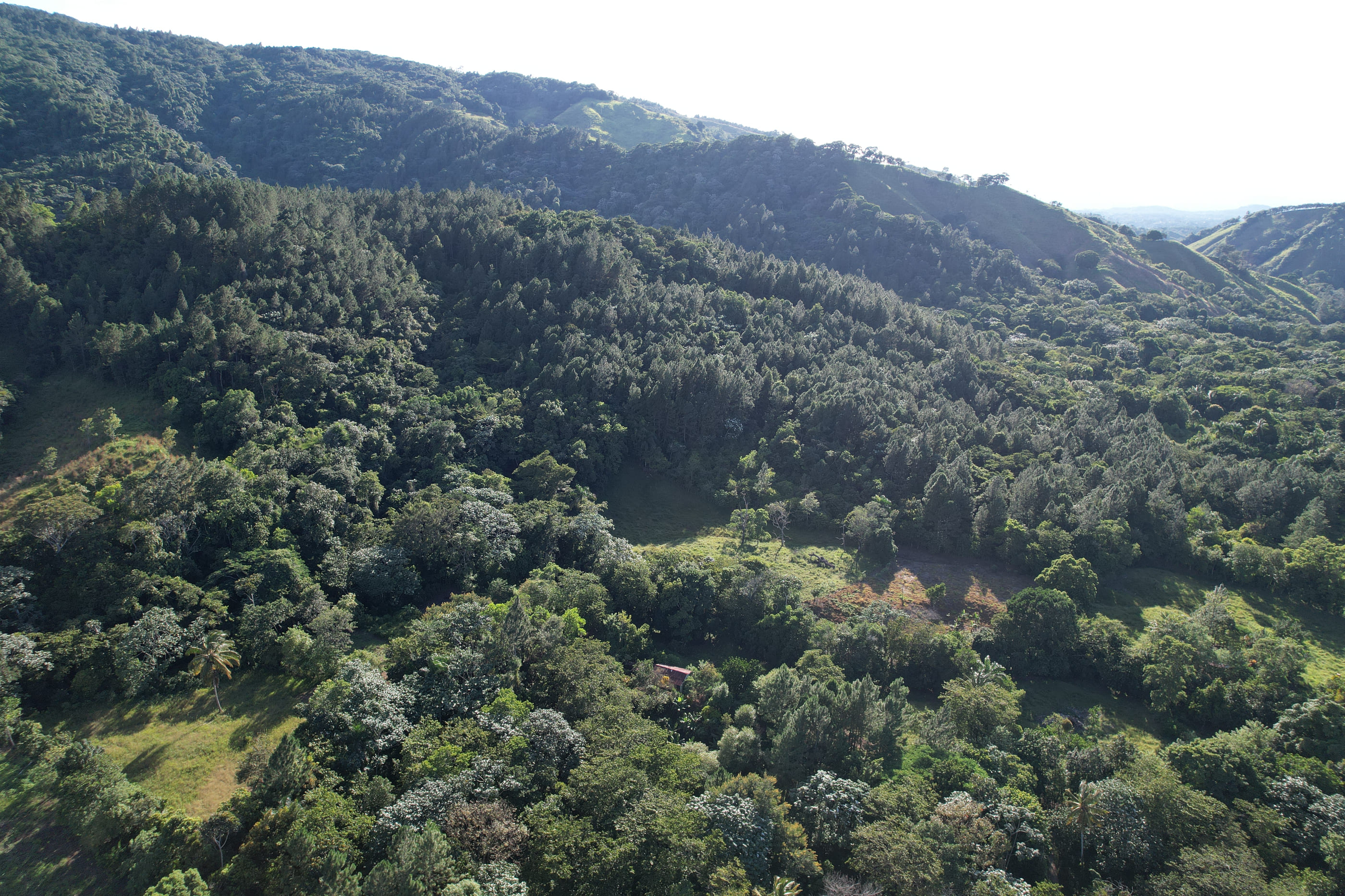 solares y terrenos - Venta de Terreno de 140 tareas en Guarey, La Vega 2