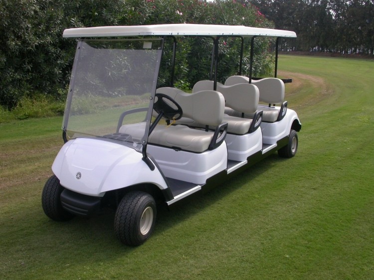 vehiculos recreativos - Carro de Golf, Carritos de Golf, Golf cart 1