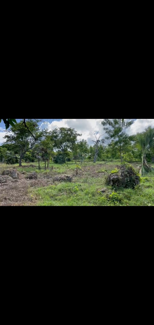 solares y terrenos - Venta de traspaso de solar en la Lotificacion Las Piedras,  Punta Cana-Bavaro.