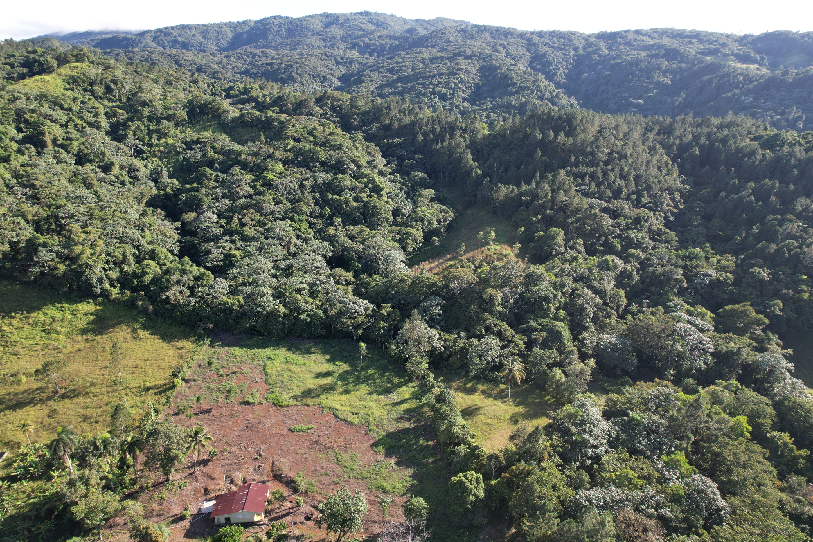 solares y terrenos - Venta de Terreno de 140 tareas en Guarey, La Vega 3