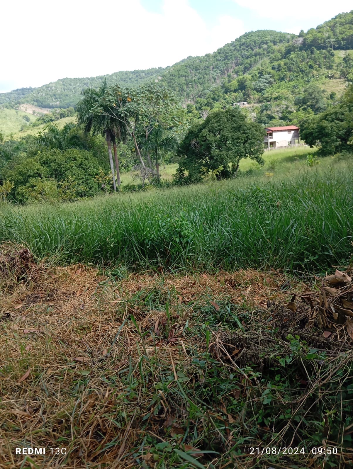 solares y terrenos - EN VENTA LOTES DE TERRENO CON VISTA A LA MONTAÑA, PEDRO BRAND 2