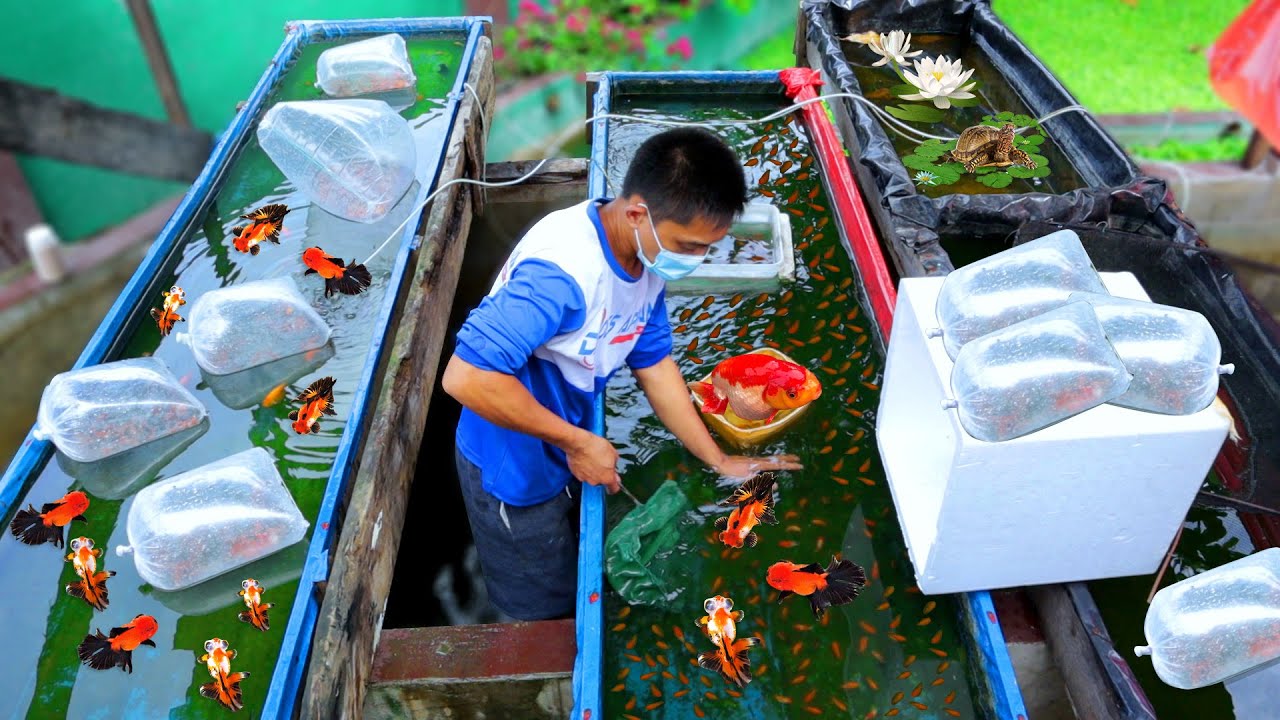 empleos disponibles - Cuidadores de finca recreativa / criador de peces 