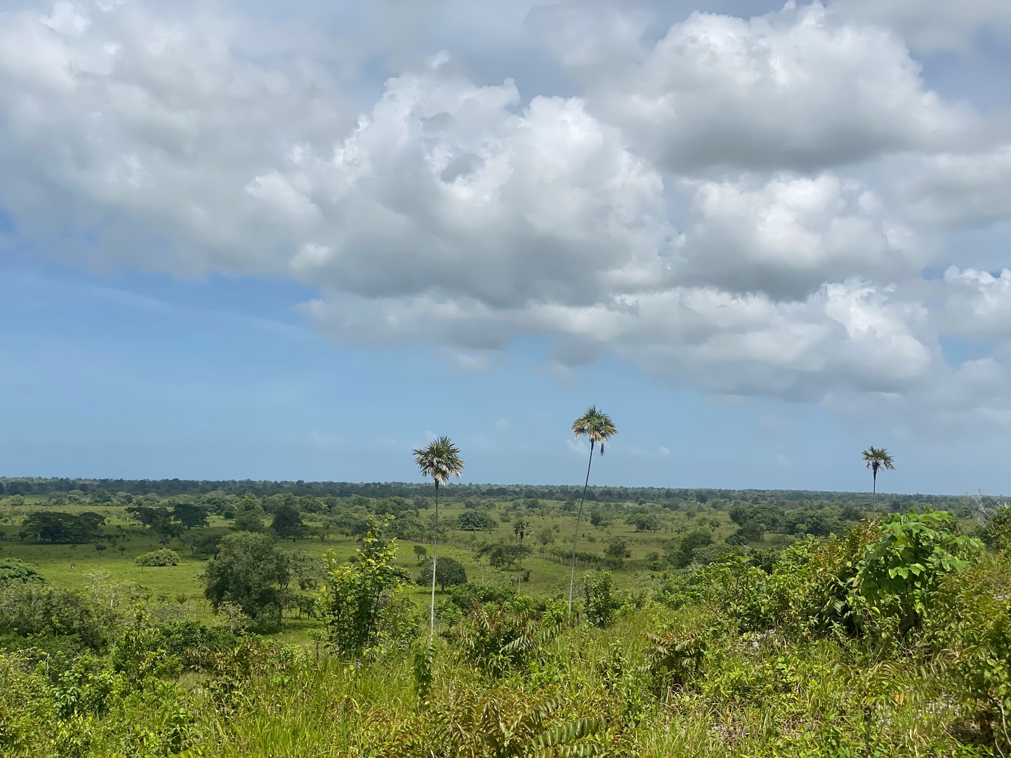 solares y terrenos - Venta de lote de 1.257,600 Mts2 para desarrollo en bávaro  5