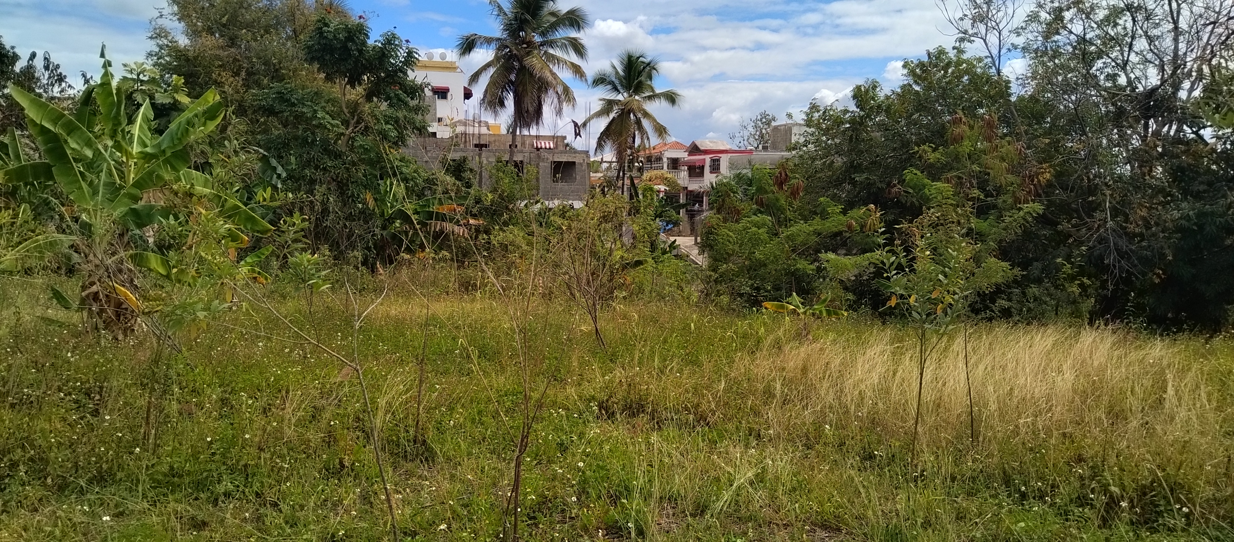 solares y terrenos - Terreno con un área de 4,100M2, La Ciénaga, Km. 14 3