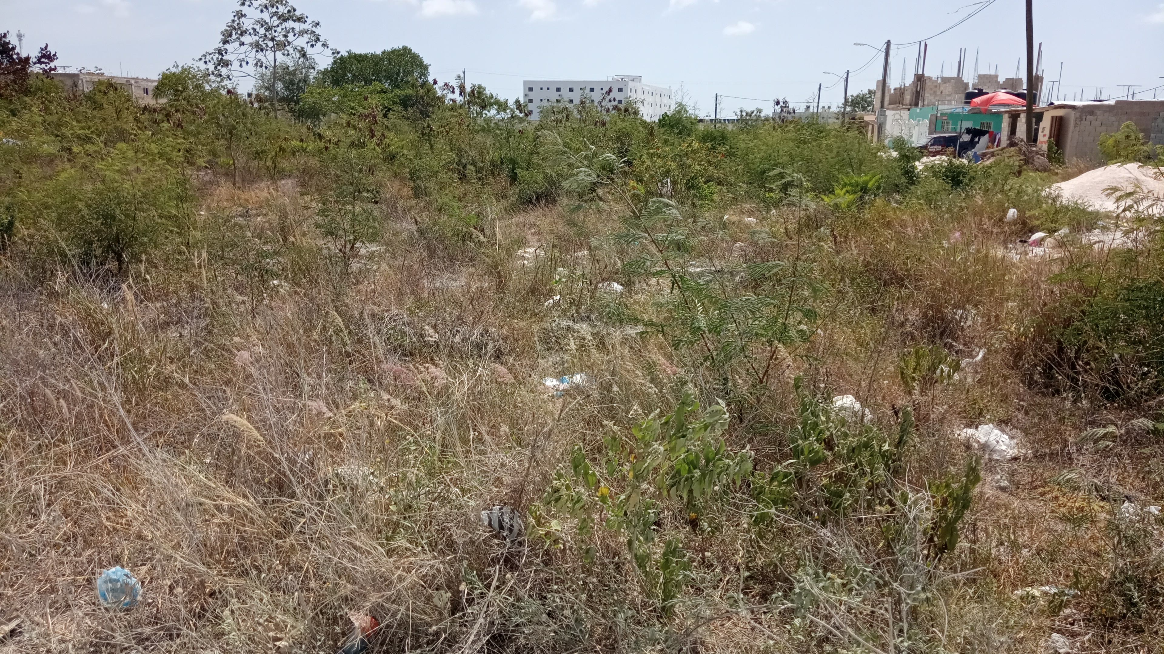 solares y terrenos - Vendo Solares en Veron Punta Cana a 45us el Metro Lotificacion Veron 2