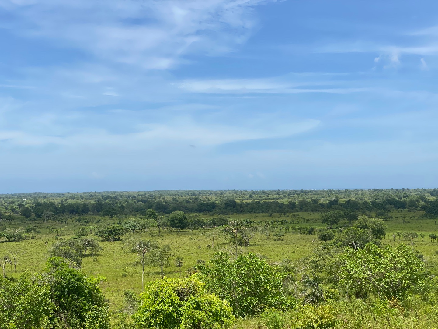 solares y terrenos - Venta de lote de 1.257,600 Mts2 para desarrollo en bávaro  3