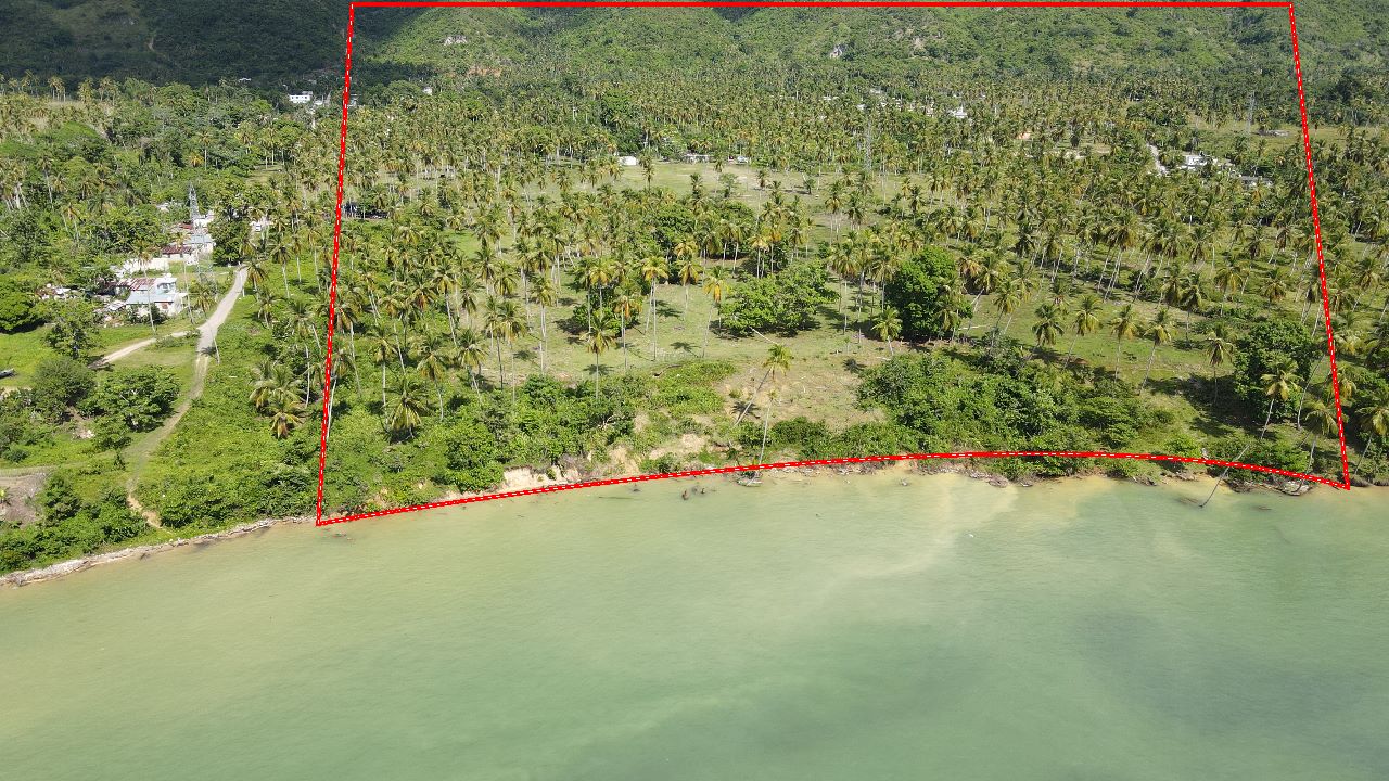 solares y terrenos -  Vendo   Terreno con 46,000.00 Mt2 en Samaná  2