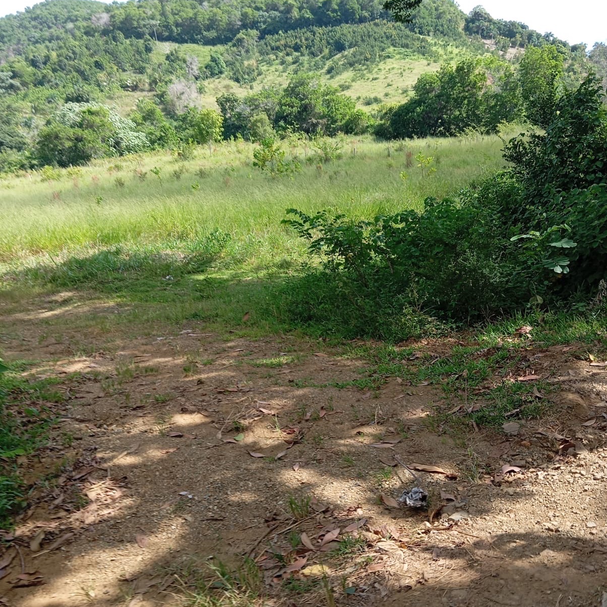 solares y terrenos - EN VENTA LOTES DE TERRENO CON VISTA A LA MONTAÑA, PEDRO BRAND