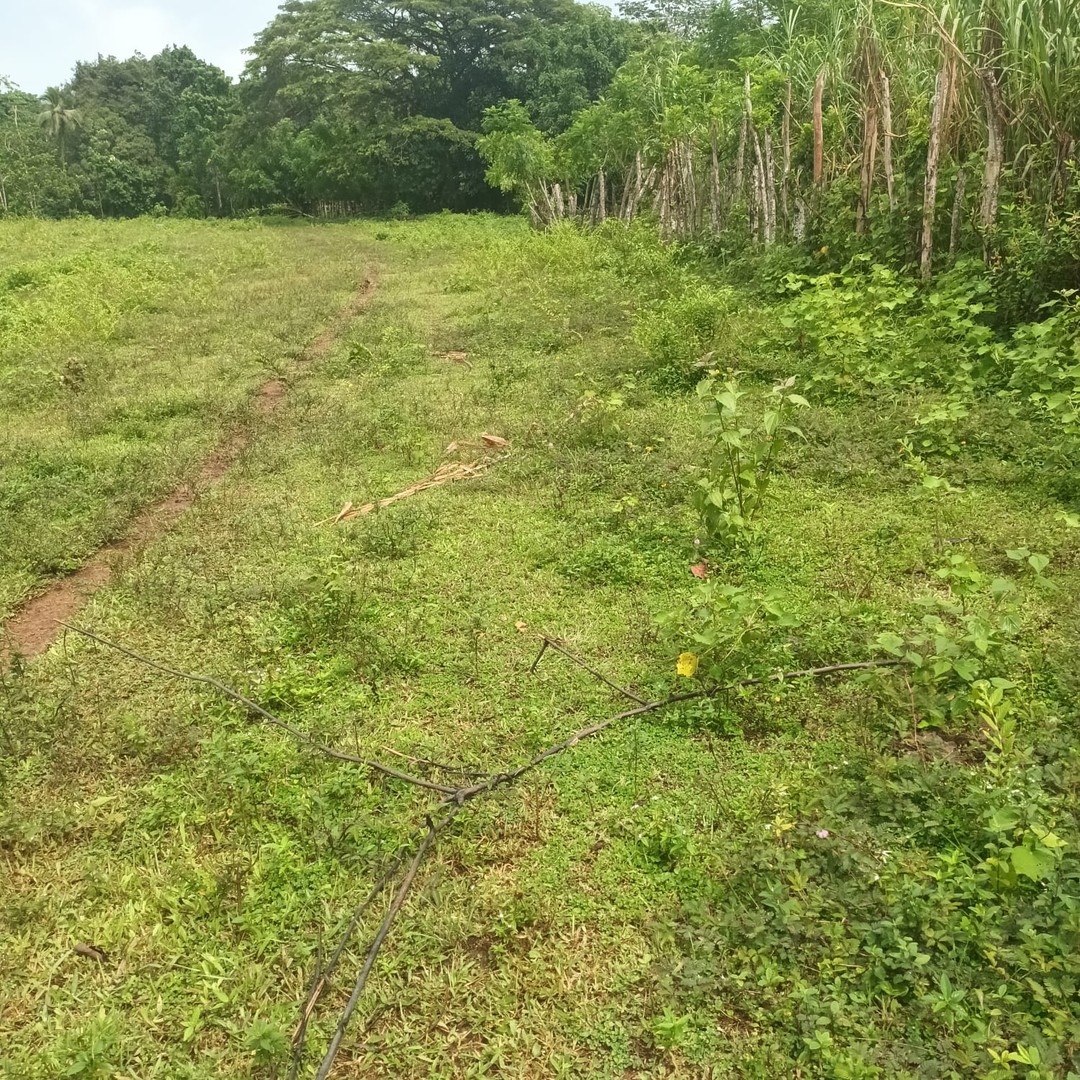 solares y terrenos - Vendo Finca en Bayaguana 1