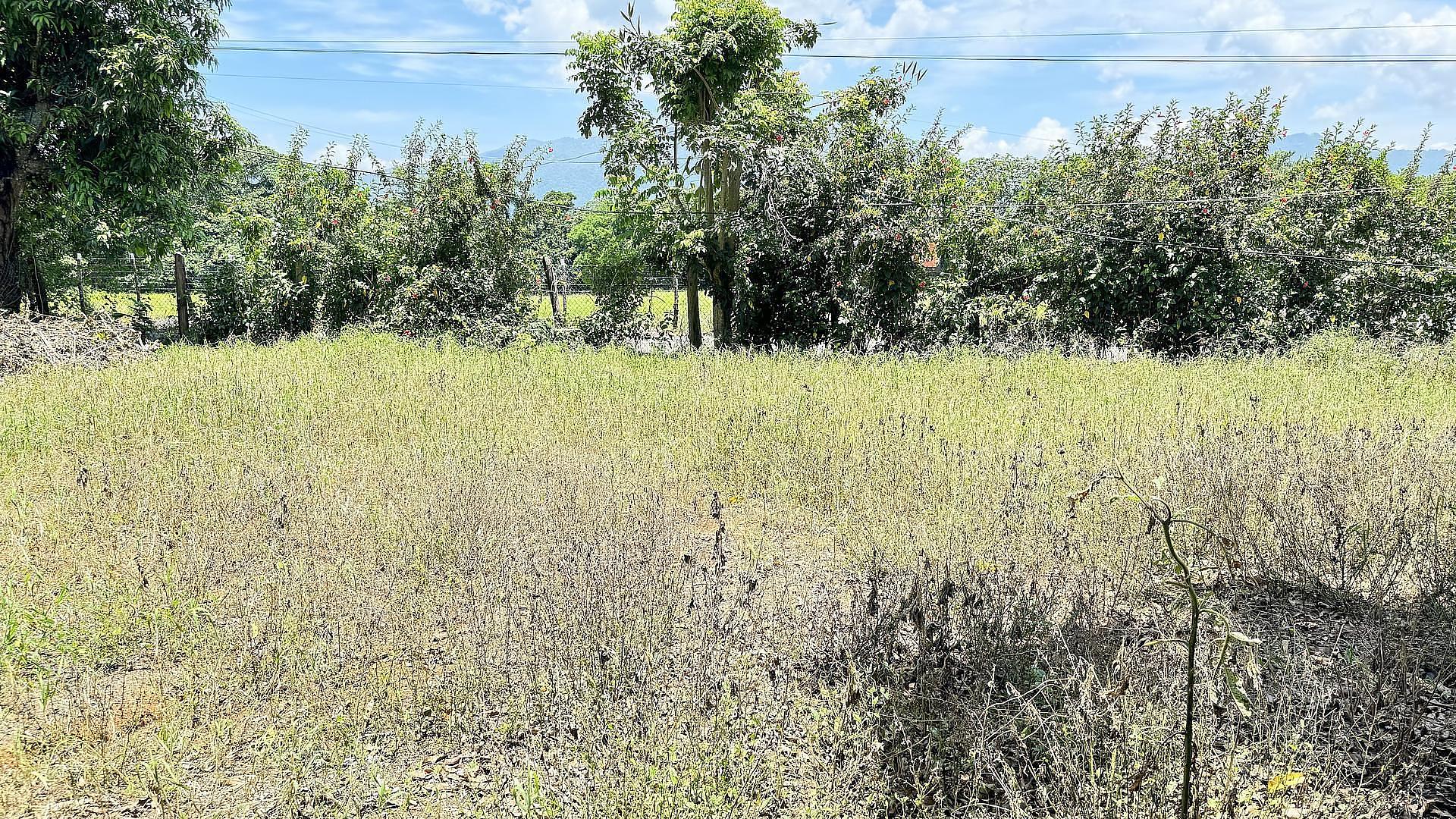 solares y terrenos - VENDO SOLAR EN JARABACOA 4