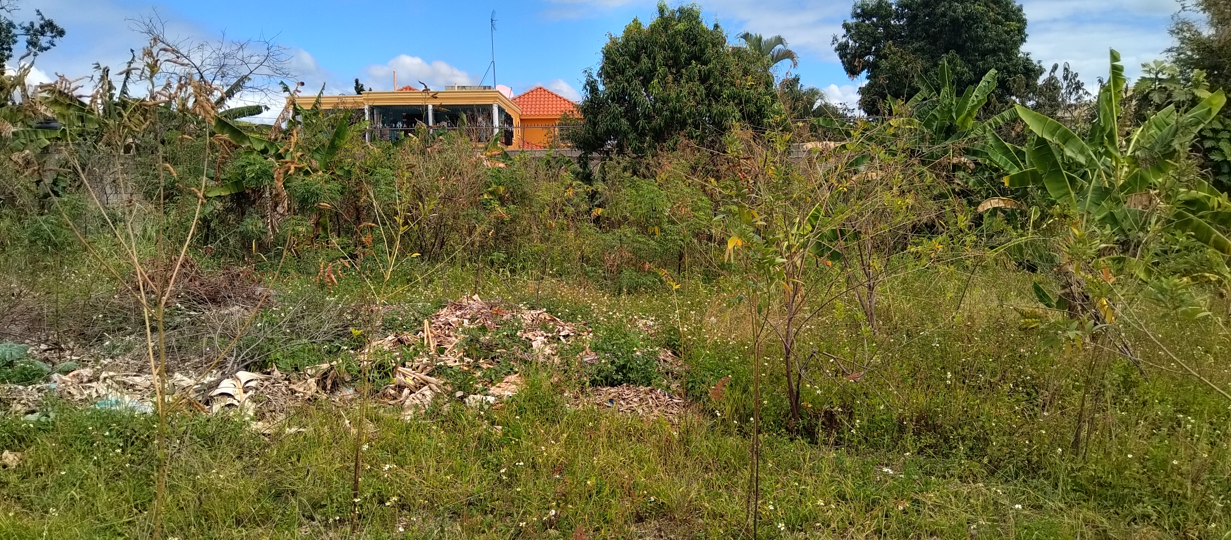 solares y terrenos - Terreno con un área de 4,100M2, La Ciénaga, Km. 14 4