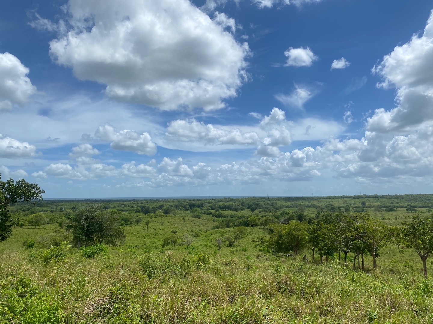 solares y terrenos - Venta de lote de 1.257,600 Mts2 para desarrollo en bávaro  4