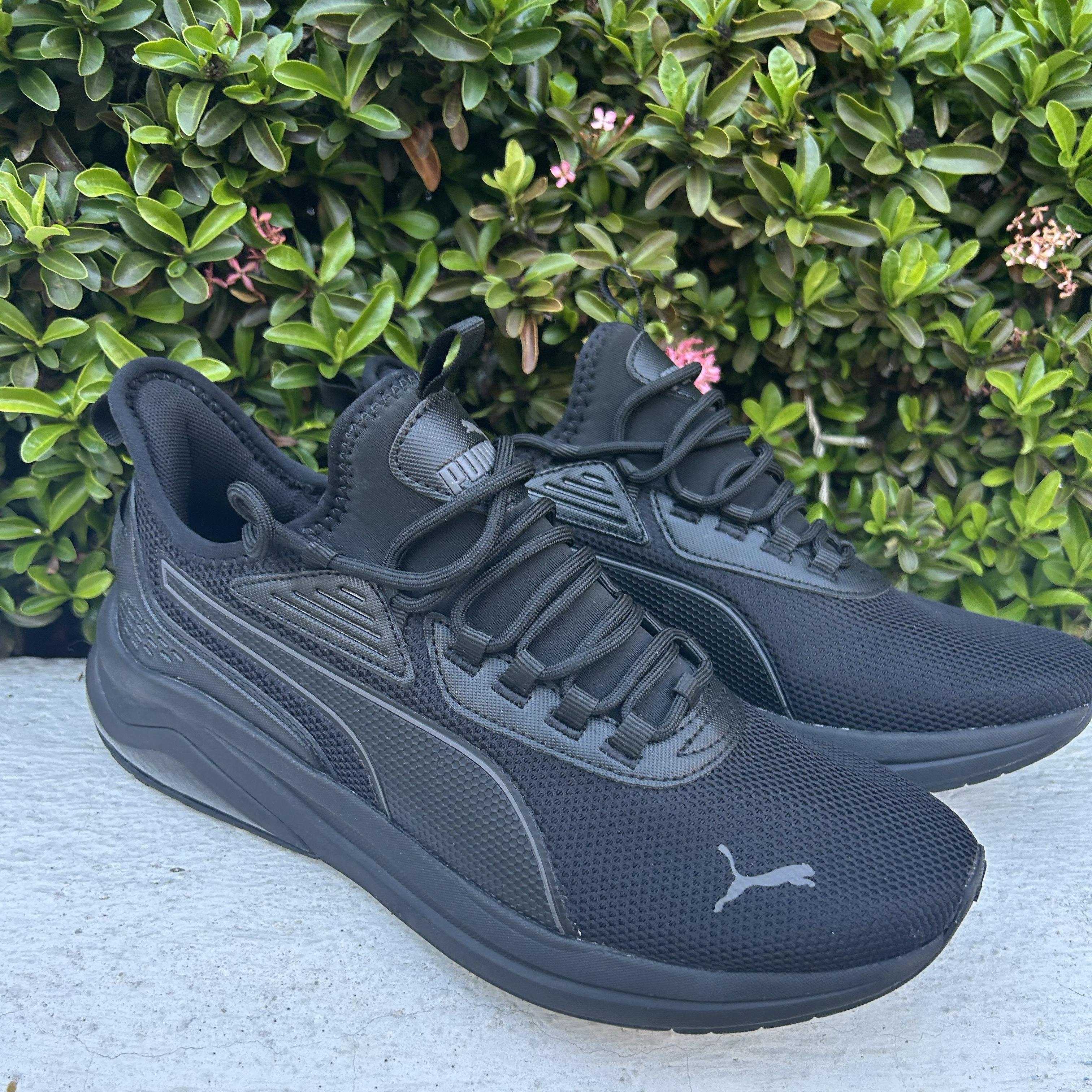zapatos para hombre - Tenis Pumas! 
