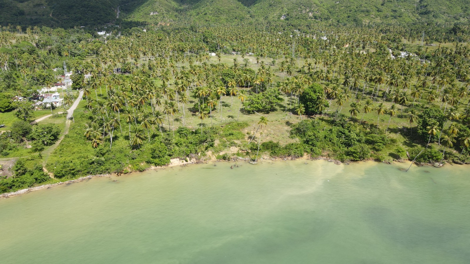 solares y terrenos -  Vendo   Terreno con 46,000.00 Mt2 en Samaná  3