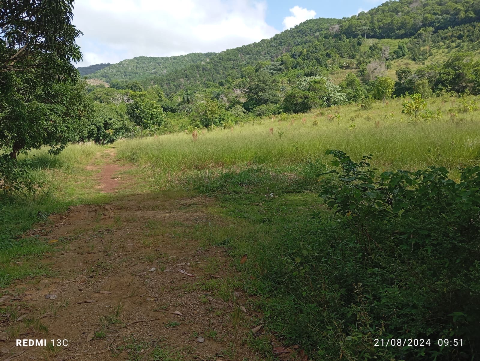 solares y terrenos - EN VENTA LOTES DE TERRENO CON VISTA A LA MONTAÑA, PEDRO BRAND 1