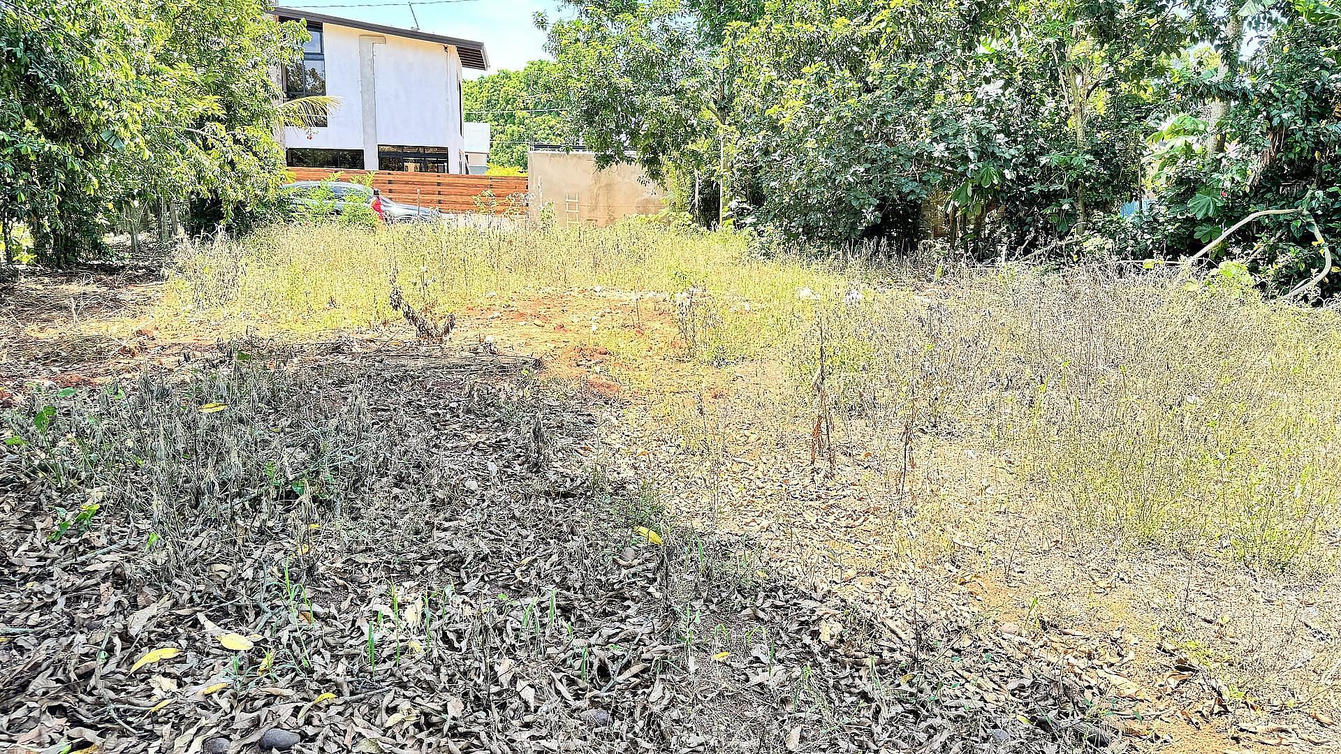 solares y terrenos - VENDO SOLAR EN JARABACOA 5