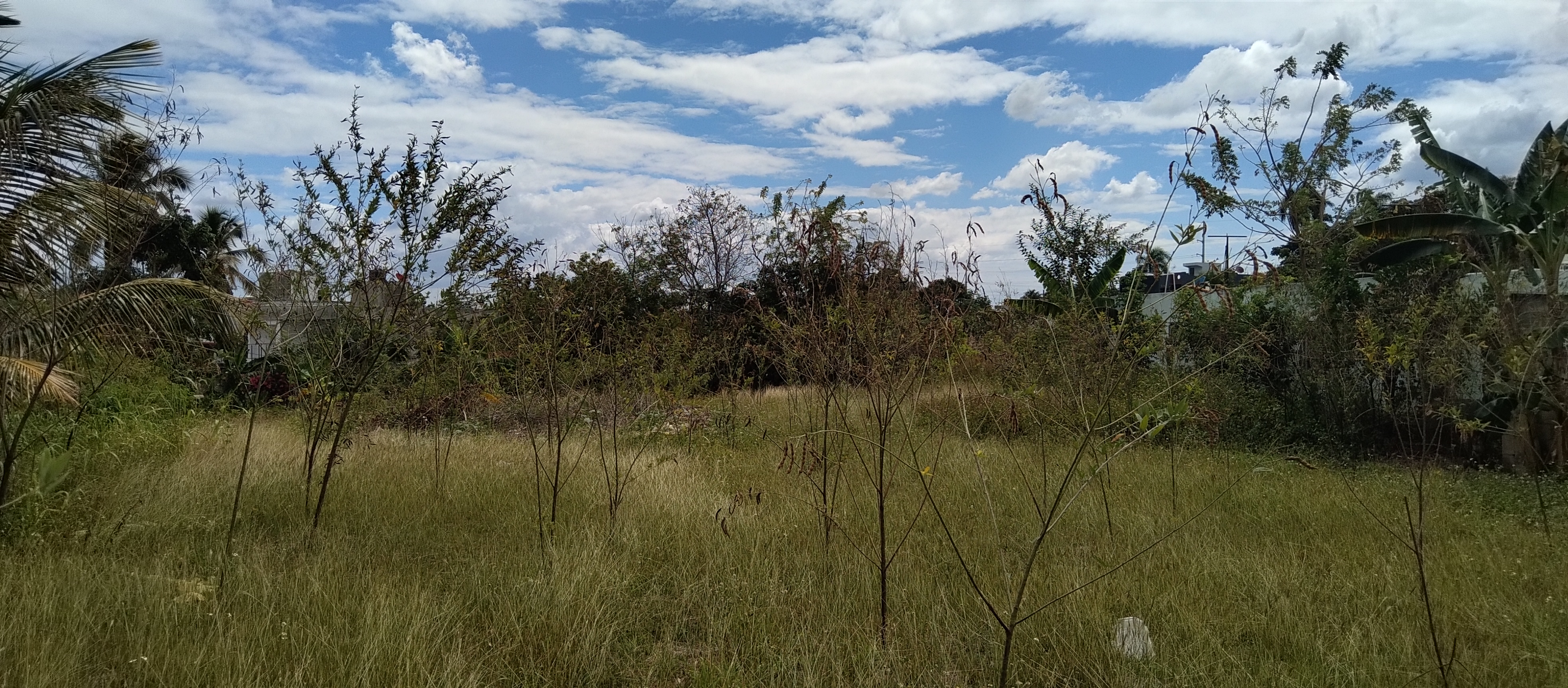 solares y terrenos - Terreno con un área de 4,100M2, La Ciénaga, Km. 14 5