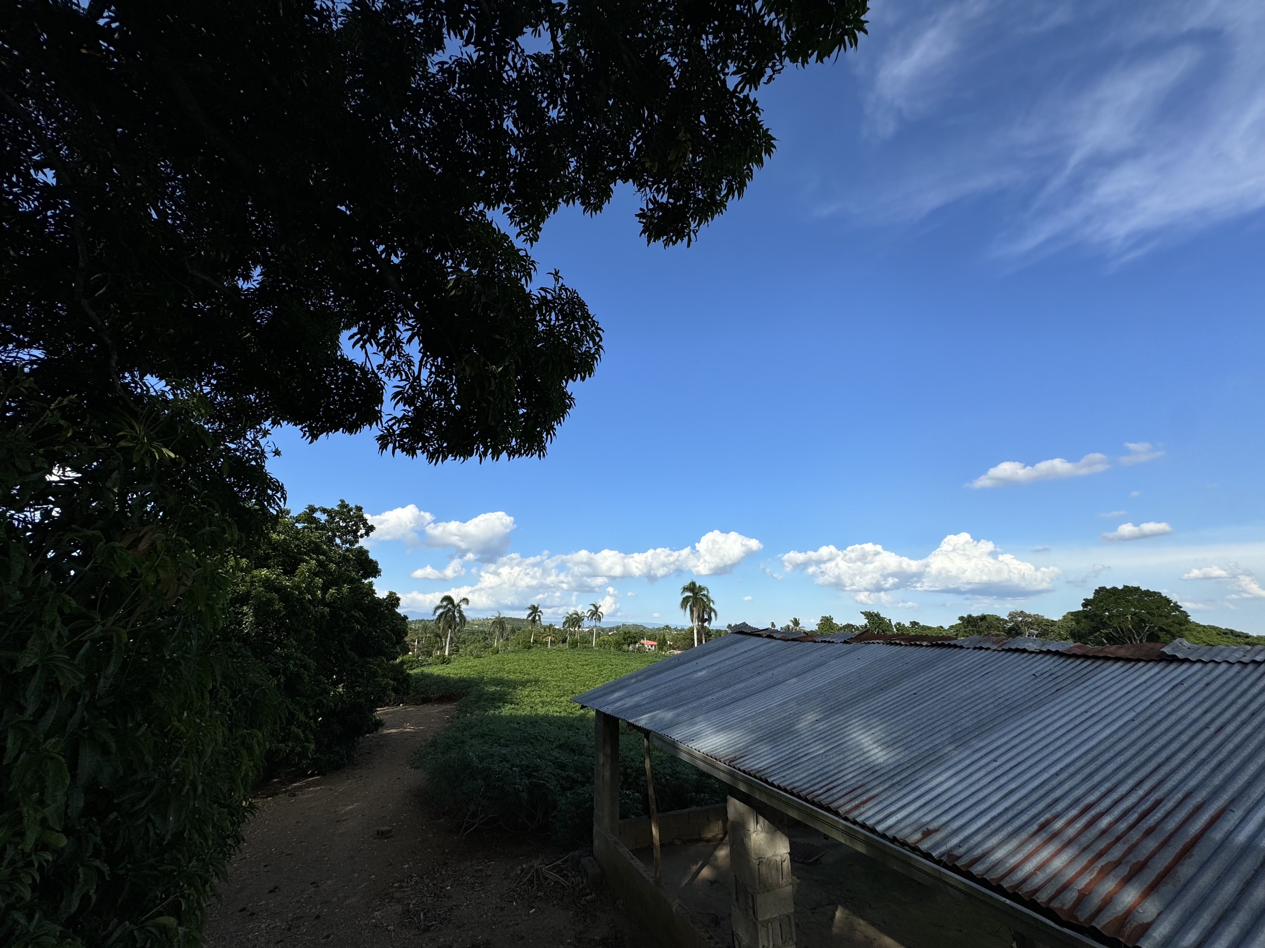 solares y terrenos - vendo 50 tarea deslindada y con titula en las piedras la Vega.  2