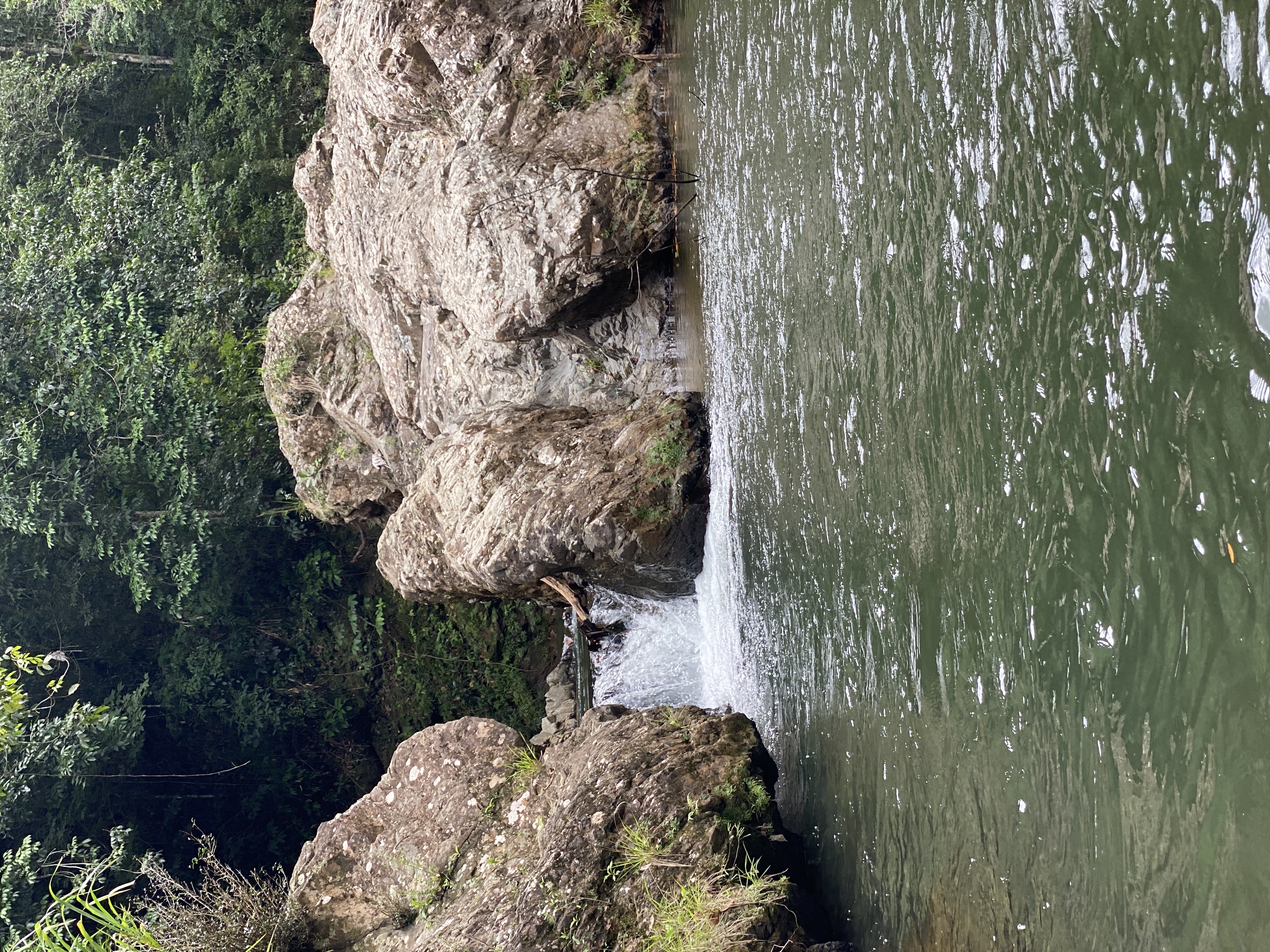 tours y viajes - Excursión al Naranjito  2