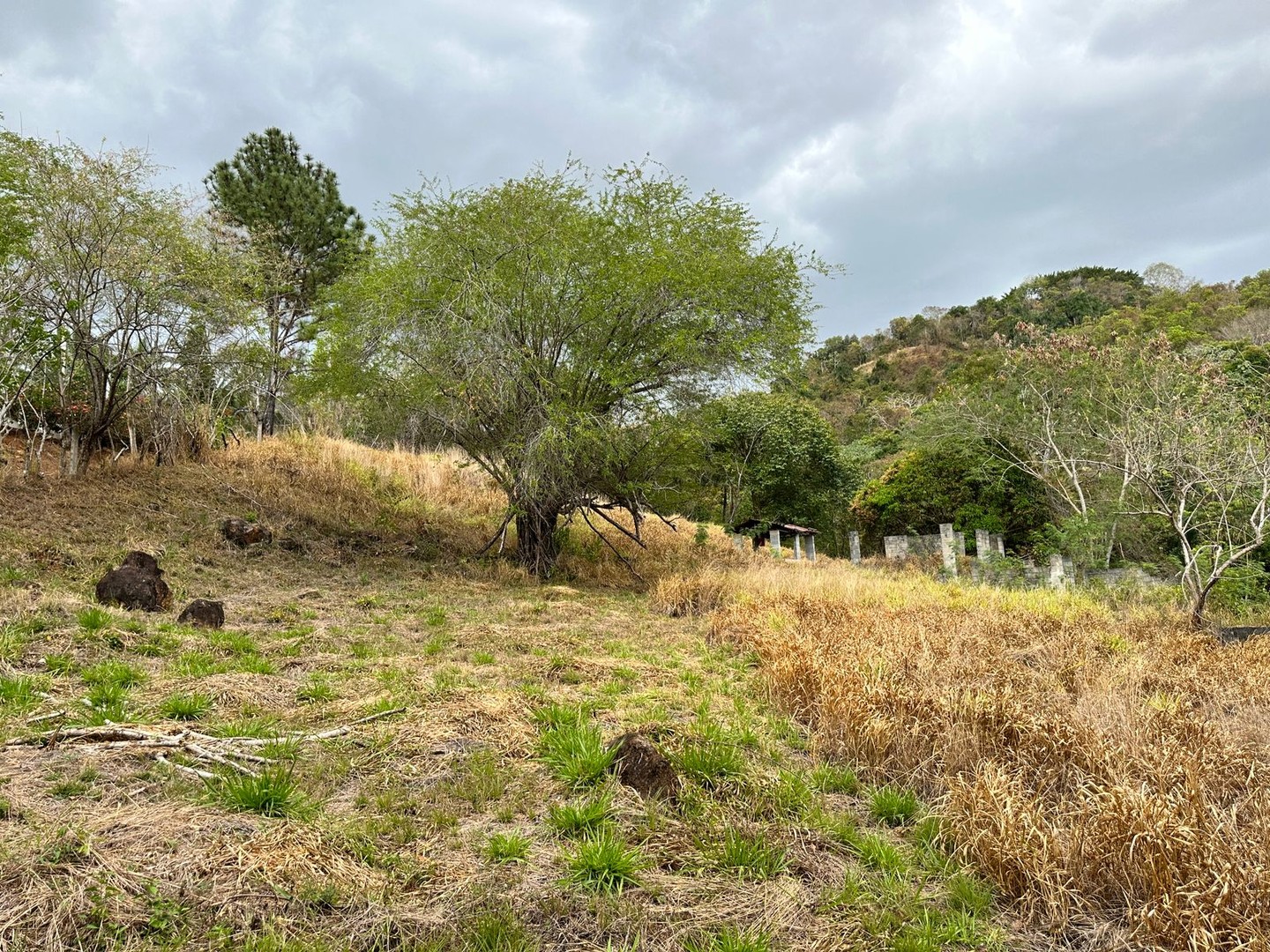 solares y terrenos - Solar en venta de 5,000 m2 en Residencial Cerrado  1