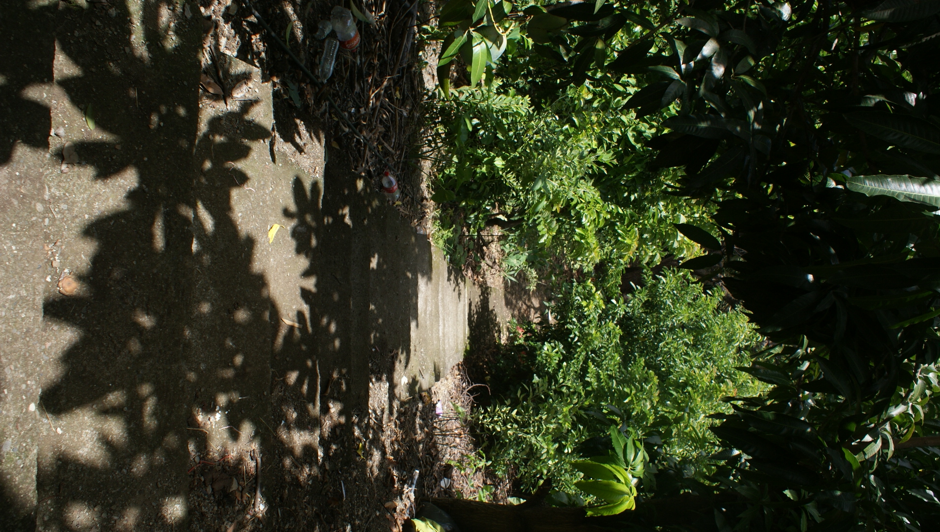 solares y terrenos - SAN JOSE DE OCOA VDO FINCA 36700 MTS2 RD$1.8 