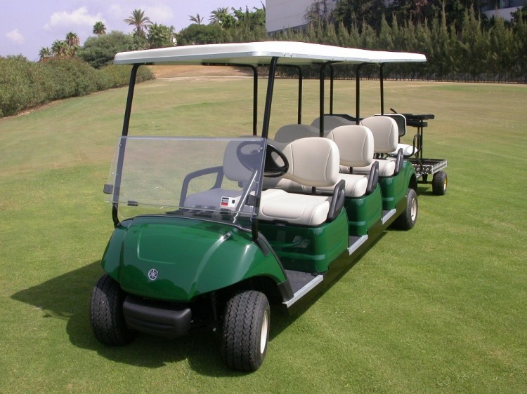 vehiculos recreativos - Carro de Golf, Carritos de Golf, Golf cart 5