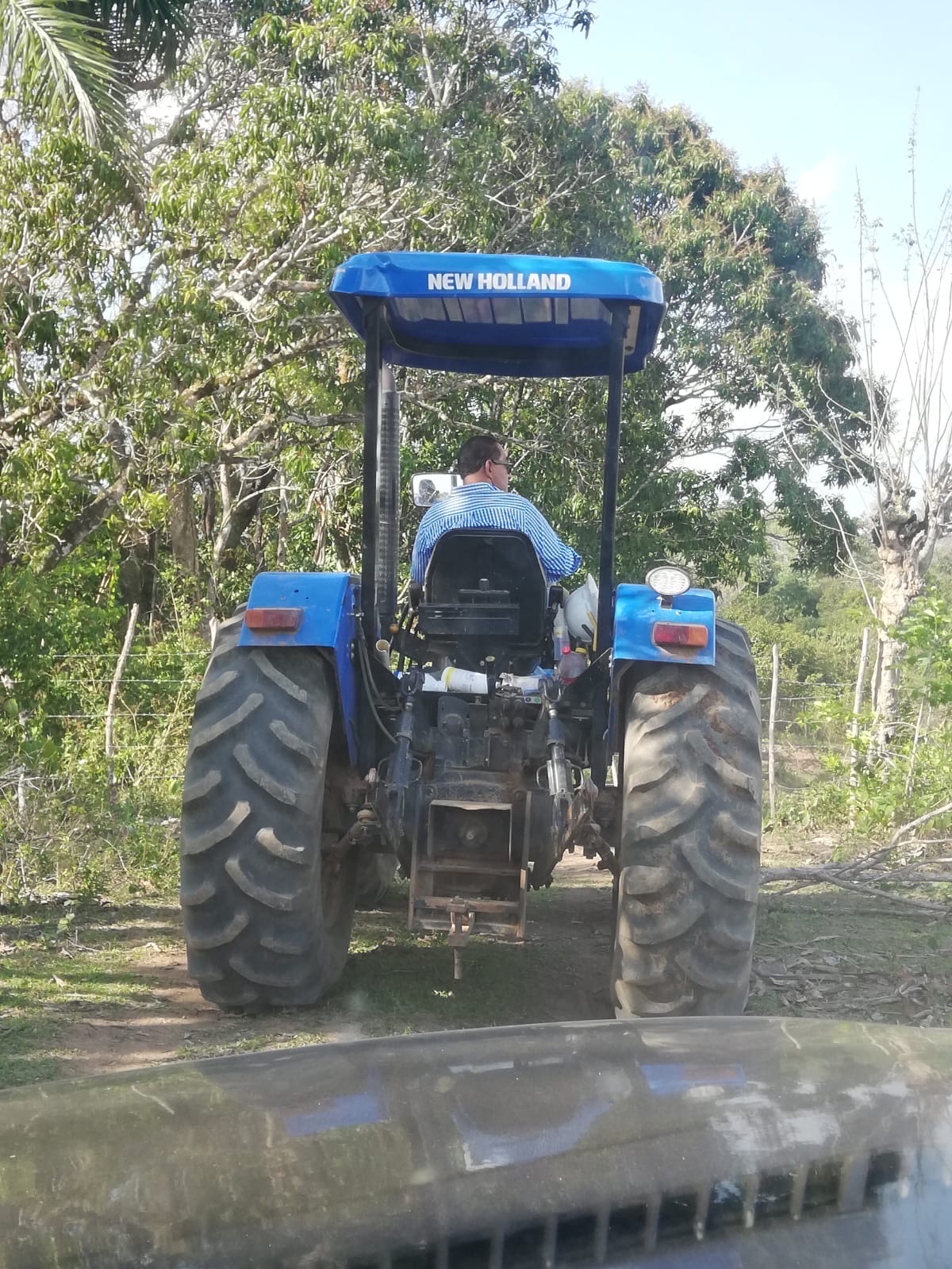 solares y terrenos - se vende Finca en monte plata con 387 tareas  con agricultura en producción  5