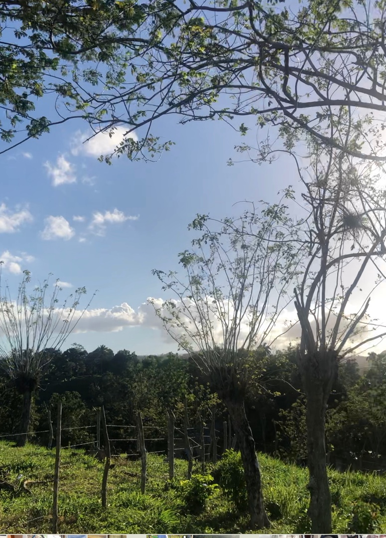 solares y terrenos - terreno en boca de Jamao $60 el metro. 1