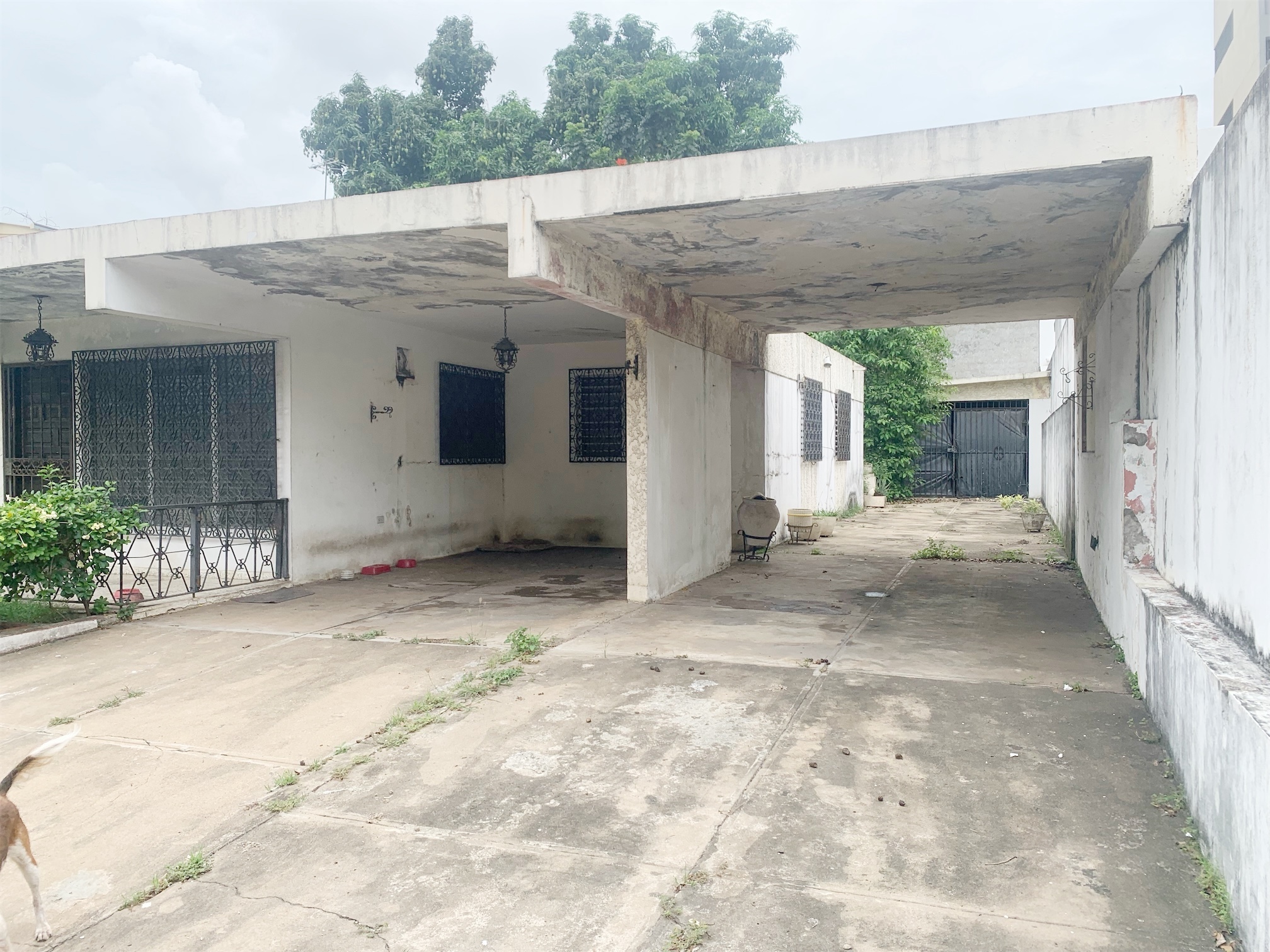 casas - Propiedad comercial en el Millon 3