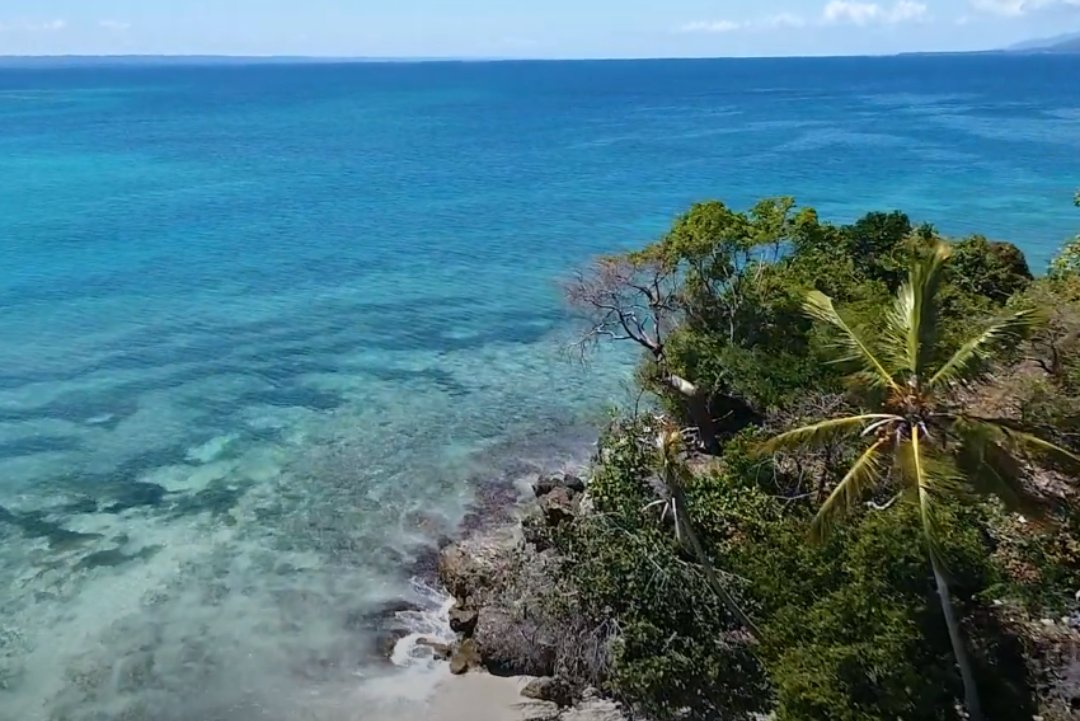 solares y terrenos - Vendemos 17 Millones De Metros De Terreno En Punta Cana, muy cerca a Cap Cana 3