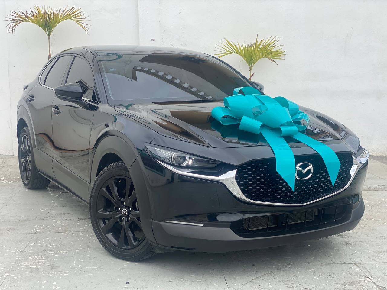 jeepetas y camionetas - MAZDA CX-30 LIMITE 2023 