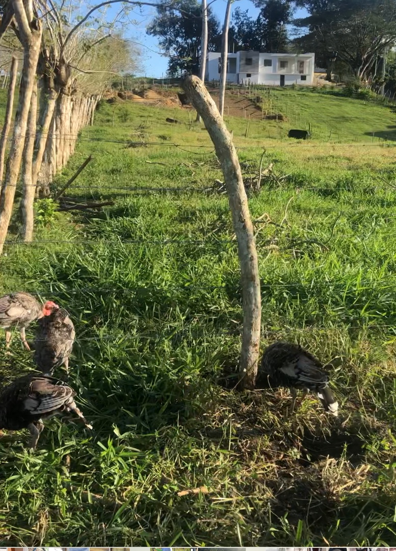 solares y terrenos - terreno en boca de Jamao $60 el metro. 2