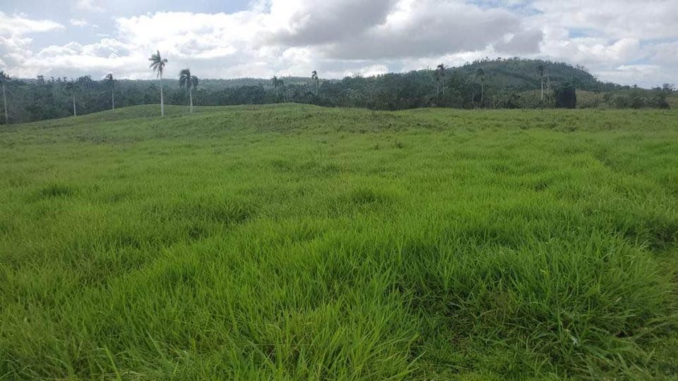 solares y terrenos - Finca de 4,480 tareas en Hato Mayor 4