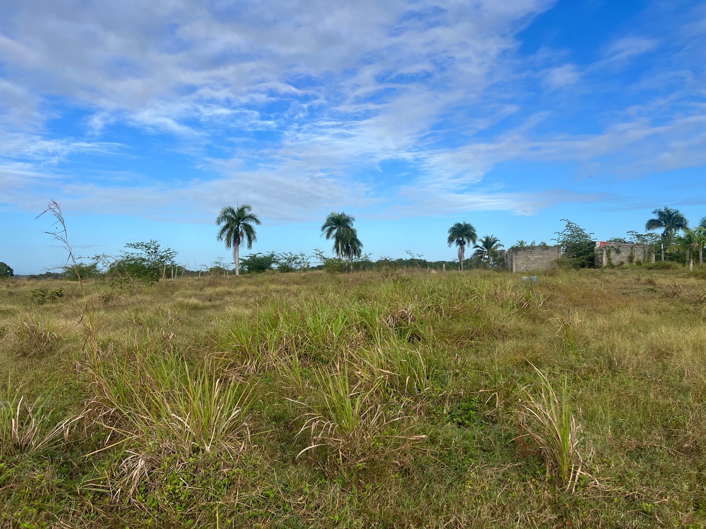 solares y terrenos - Terreno de 297,607 mts (80 pesos X Mts)
San Ant de Guerra 
15,000,0000 9