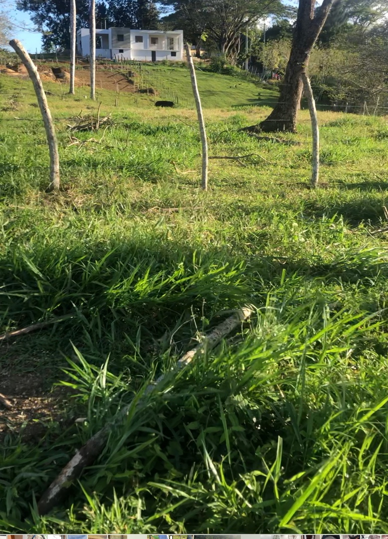 solares y terrenos - terreno en boca de Jamao $60 el metro. 5