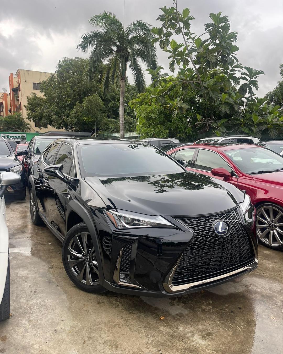 jeepetas y camionetas - LEXUS UX250 F SPORT HIBRID 2022 0