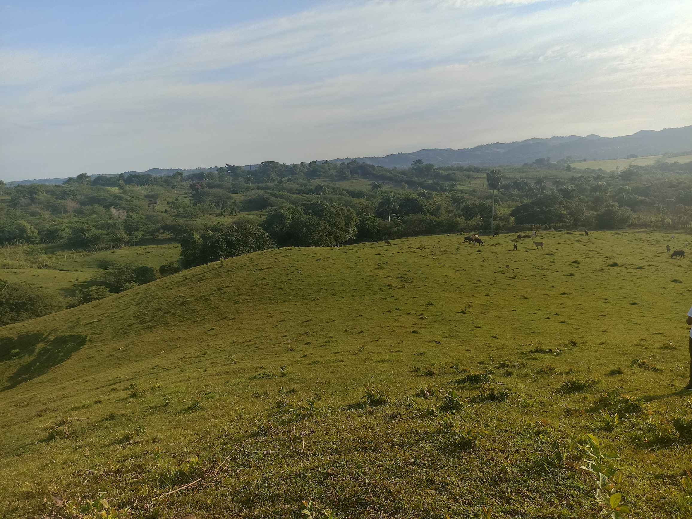 solares y terrenos - Finca ganadera a las afueras de la ciudad con agua a buen precio 