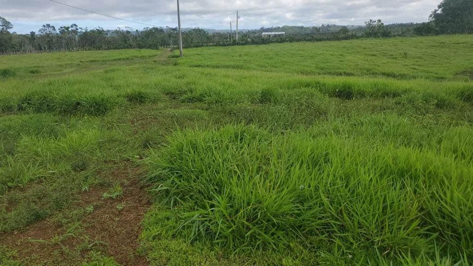 solares y terrenos - Finca de 4,480 tareas en Hato Mayor 7