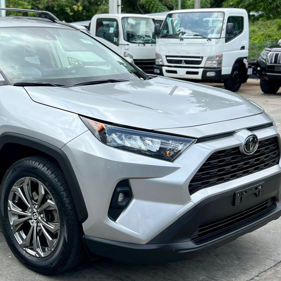 jeepetas y camionetas - Toyota Rav4 Le 2019 ✅️ Clean Carfax 