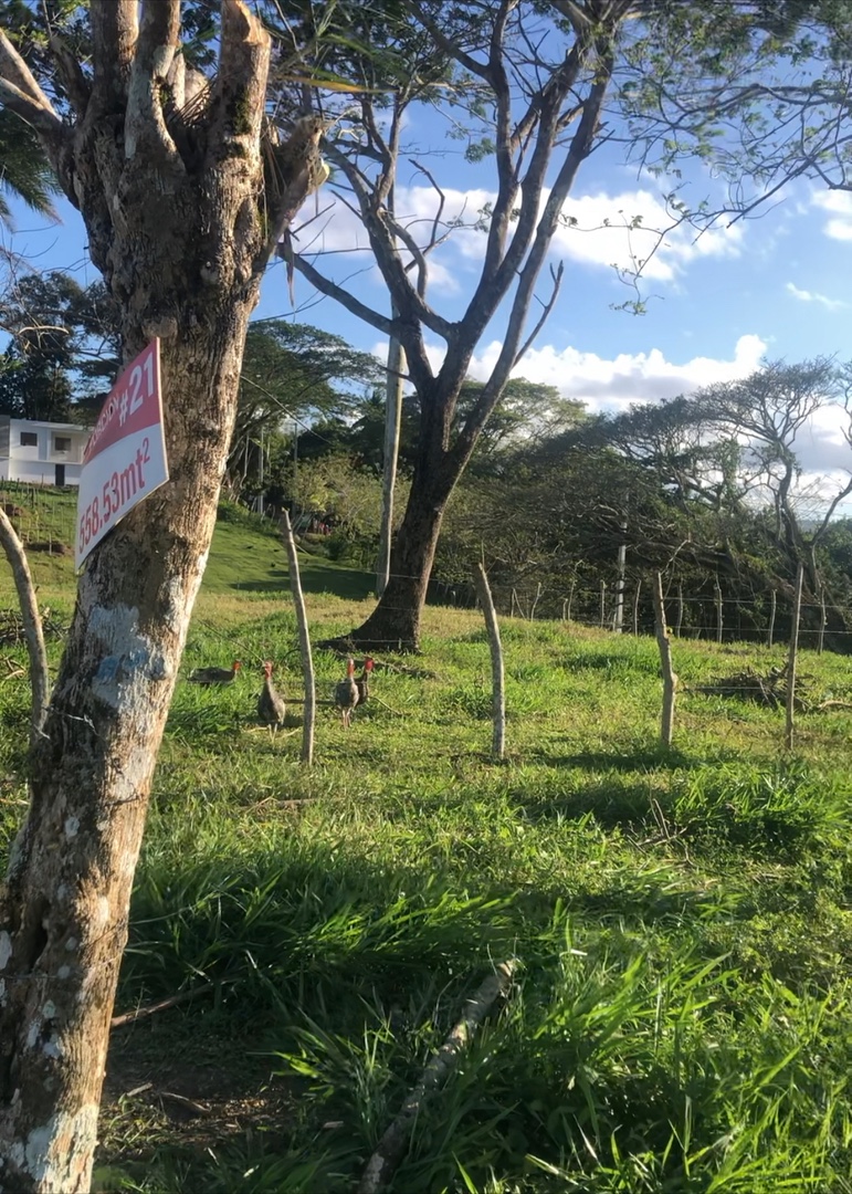 solares y terrenos - terreno en boca de Jamao $60 el metro. 6