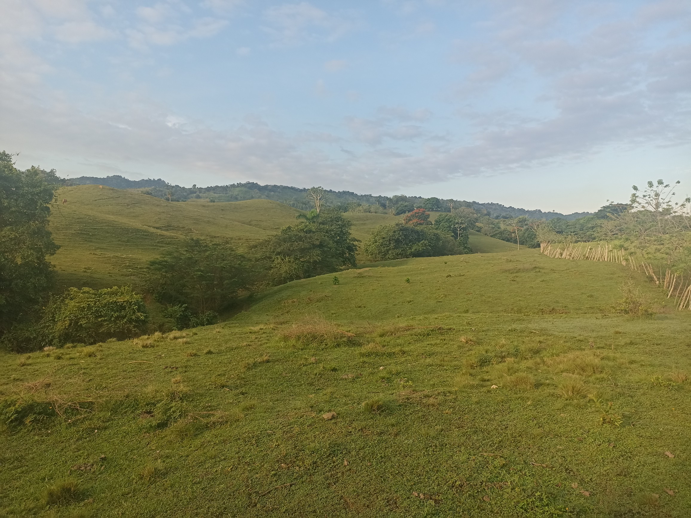 solares y terrenos - Finca ganadera a las afueras de la ciudad con agua a buen precio  4