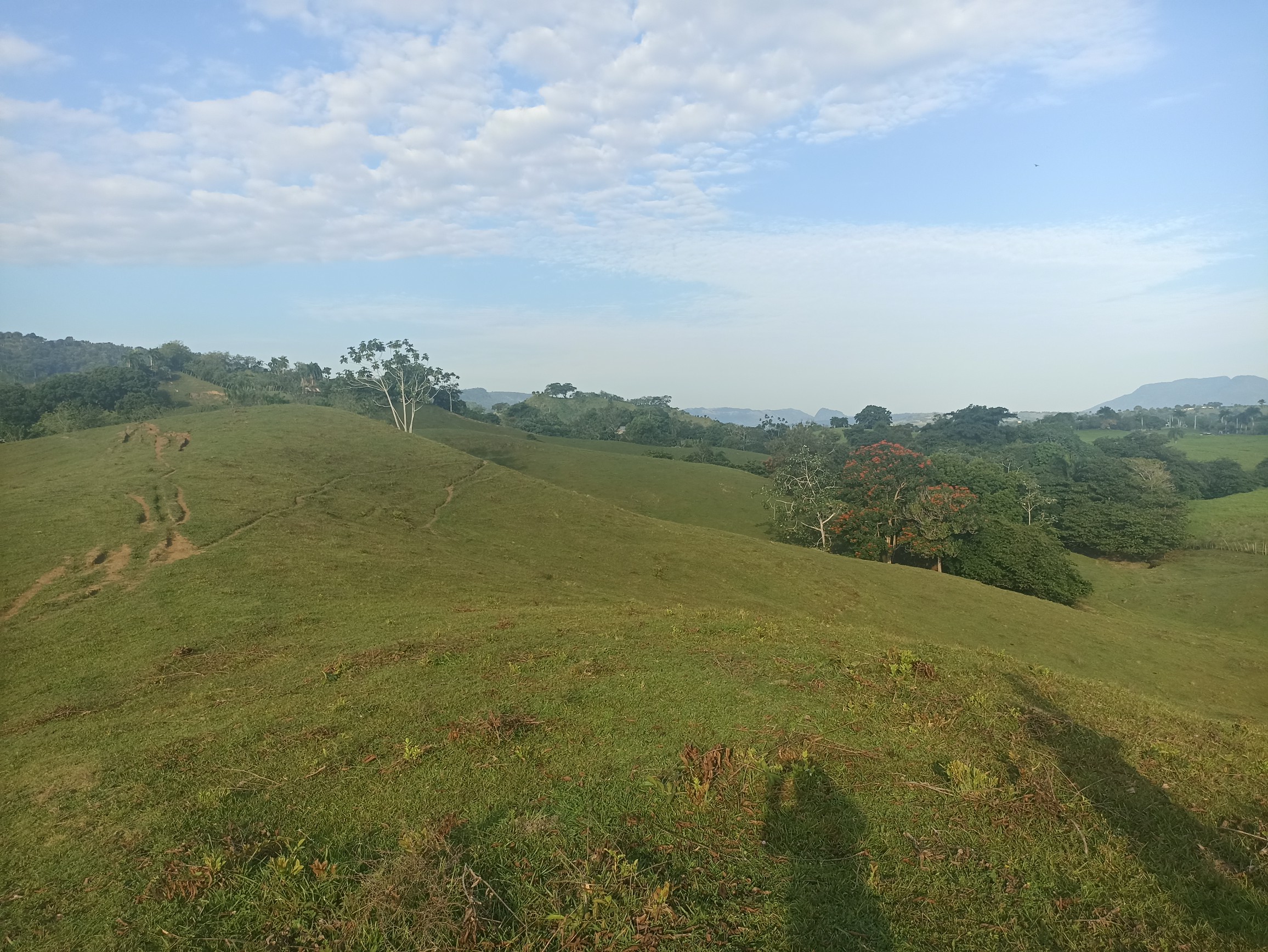 solares y terrenos - Finca ganadera a las afueras de la ciudad con agua a buen precio  1